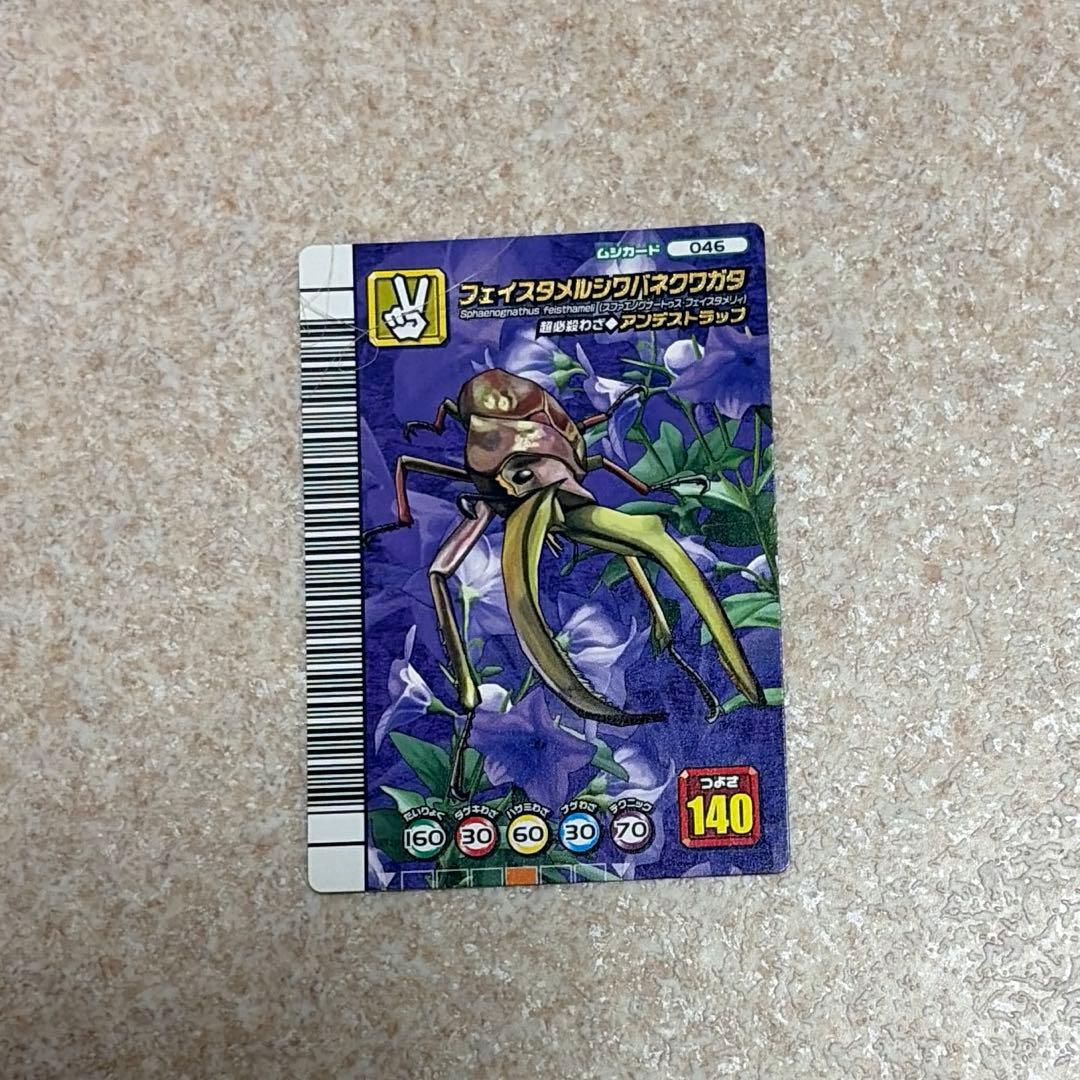 フェイスタメルシワバネクワガタ ムシキング 5周年 — image 3