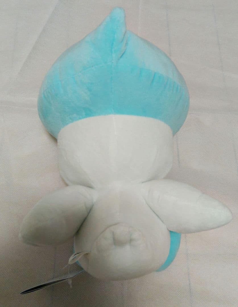 ポケットモンスター クワッス ぬいぐるみ　〜もふぐっとぬいぐるみ〜 — image 2