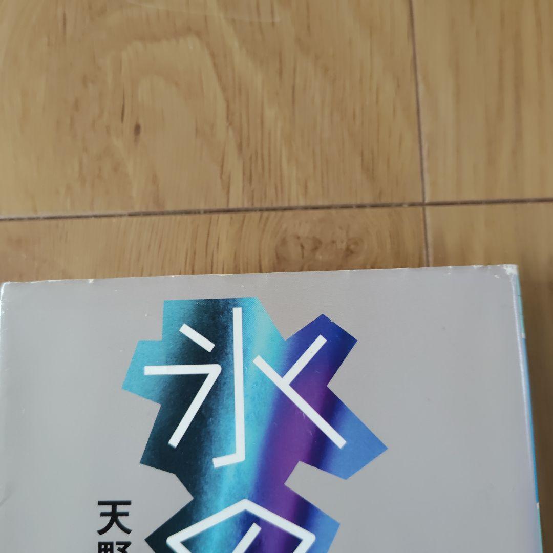 氷の華 — image 3