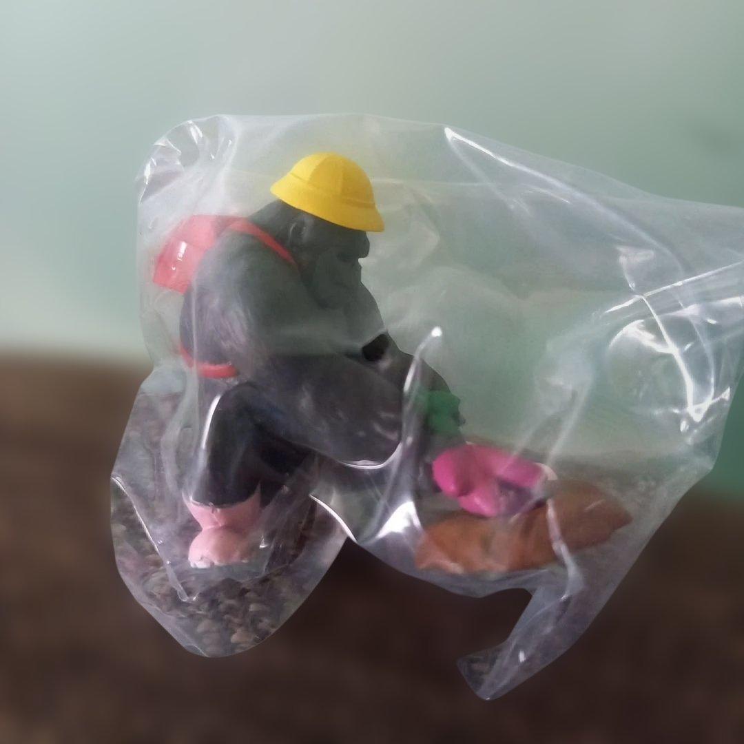 ゴリランドセル2　ゴリランドセル3 　　2個セット — image 2