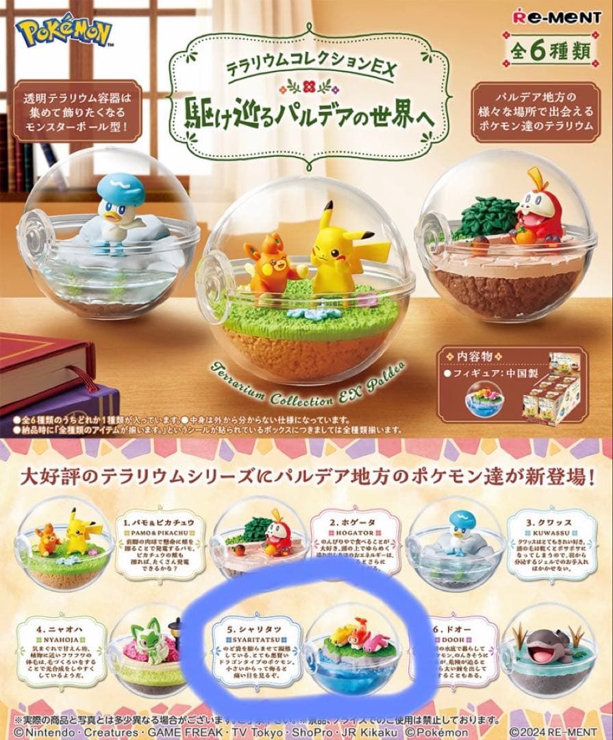 テラリウムコレクションEX シャリタツ — image 2