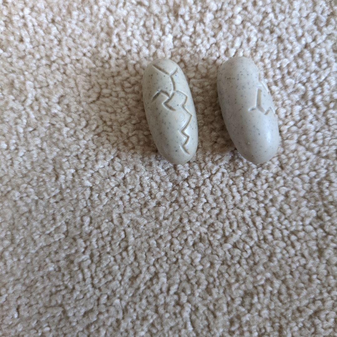 プレイモービル　骨　たまご　恐竜 — image 5