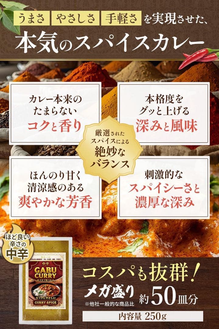 未開封 GABU CURRY ガブカレー 中辛 250g カレー粉 スパイス — image 3