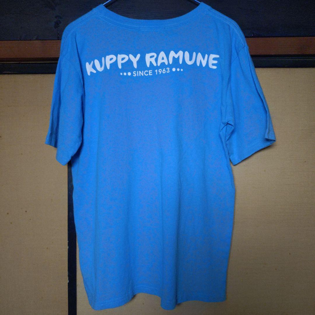 Doublefocus .グッピーラムネTシャツMサイズ中古良品 — image 3