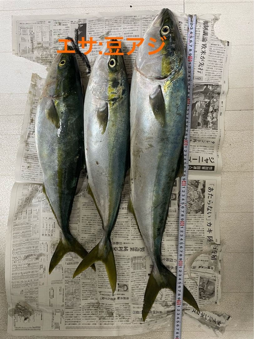 自作　泳がせ釣り　のませ釣り　エレベーター　仕掛け　２本針×5個　ピンクフロロ — image 5