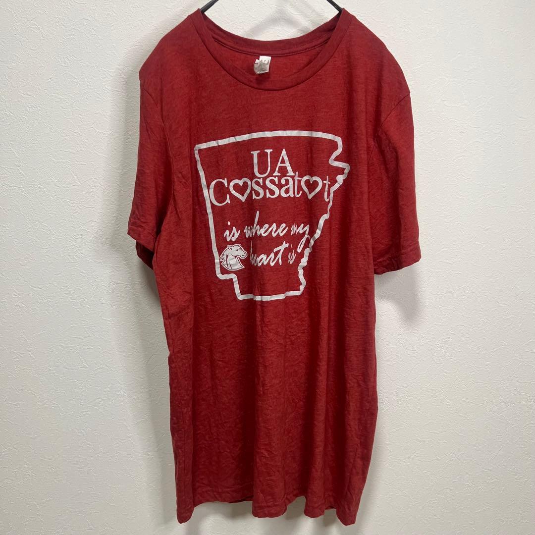 BELLA+CANVAS US古着 プリントTシャツ L レッド系 カレッジ — image 2