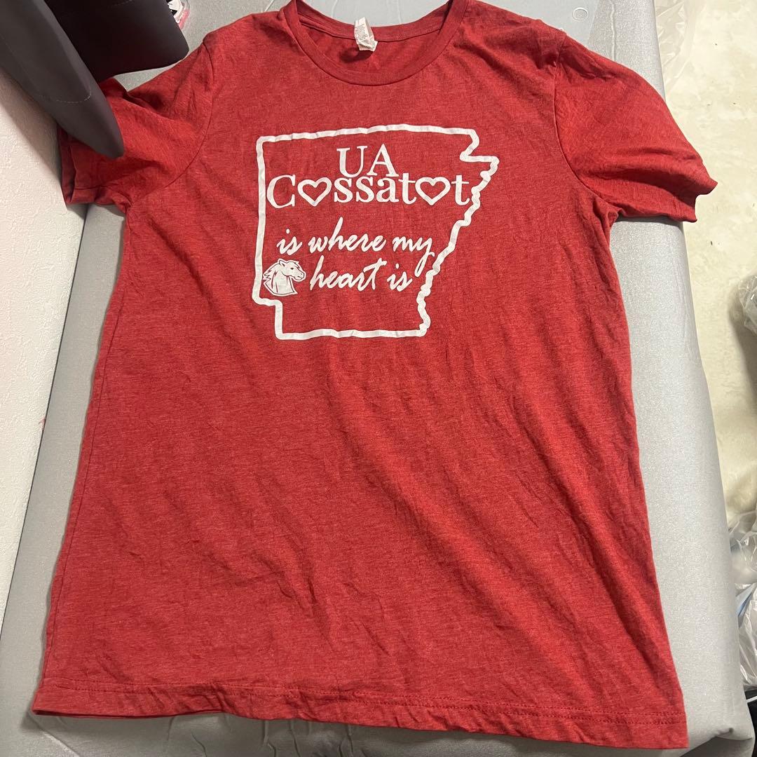 BELLA+CANVAS US古着 プリントTシャツ L レッド系 カレッジ — image 4