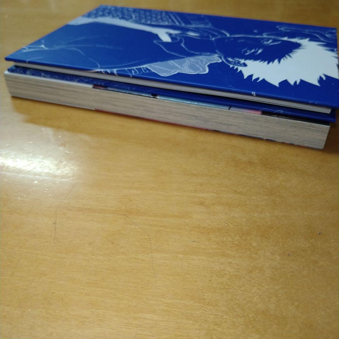 【初版】不滅のあなた 13巻 特製ミニ画集付き特装版 大今良時 画業10周年記念 — image 5