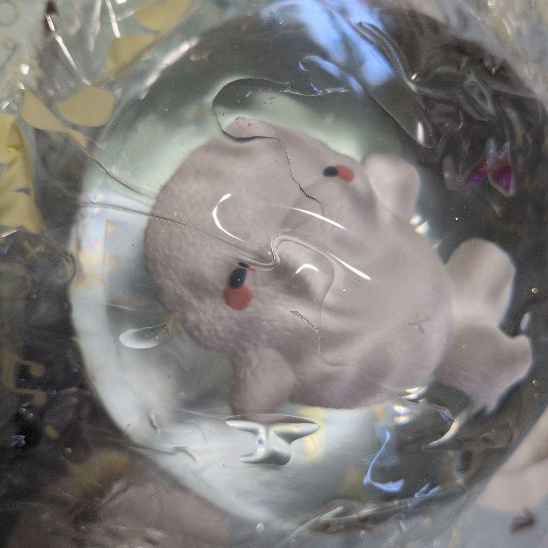 momo　海洋シリーズ　第3弾　シロイルカ　momo　スクイーズ — image 4