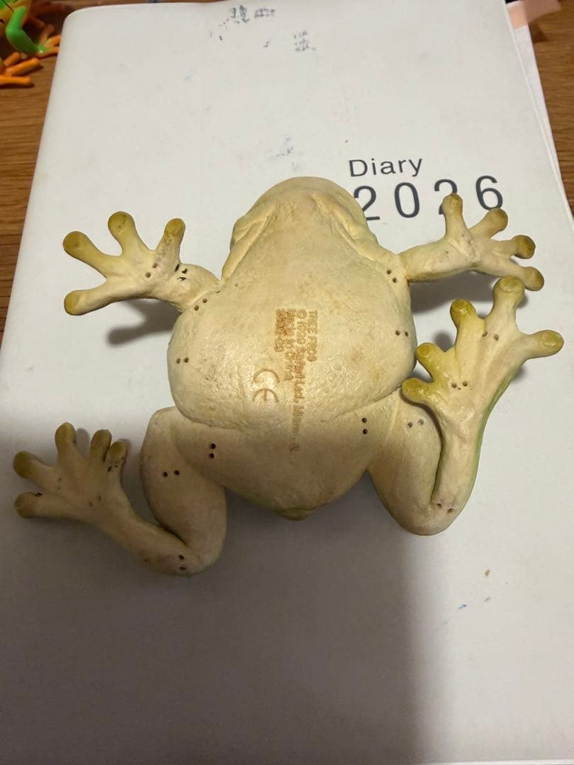 Tree Frog フィギュア リアル 爬虫類 両生類 — image 3