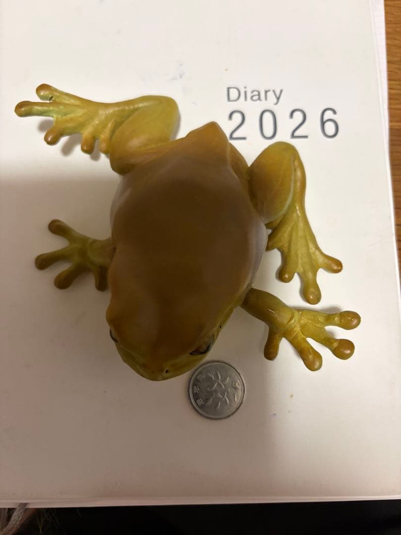 Tree Frog フィギュア リアル 爬虫類 両生類 — image 4