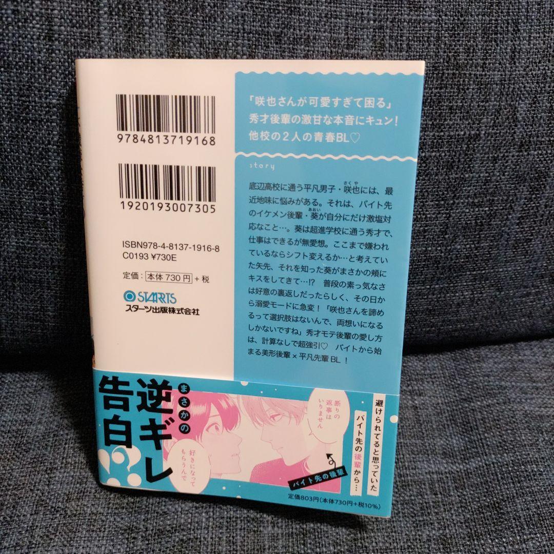 不機嫌な秀才の視線が気になる　小説　文庫 — image 2