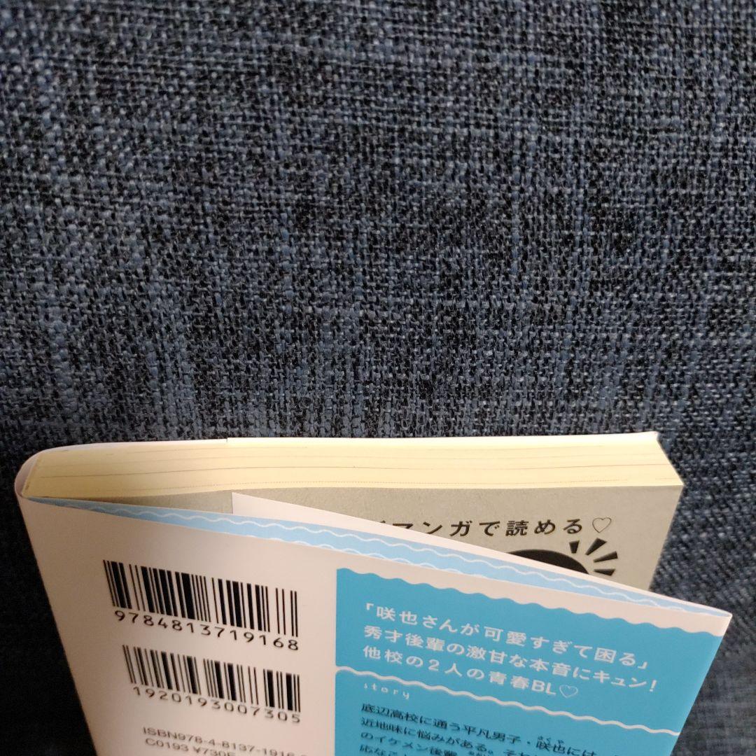 不機嫌な秀才の視線が気になる　小説　文庫 — image 3