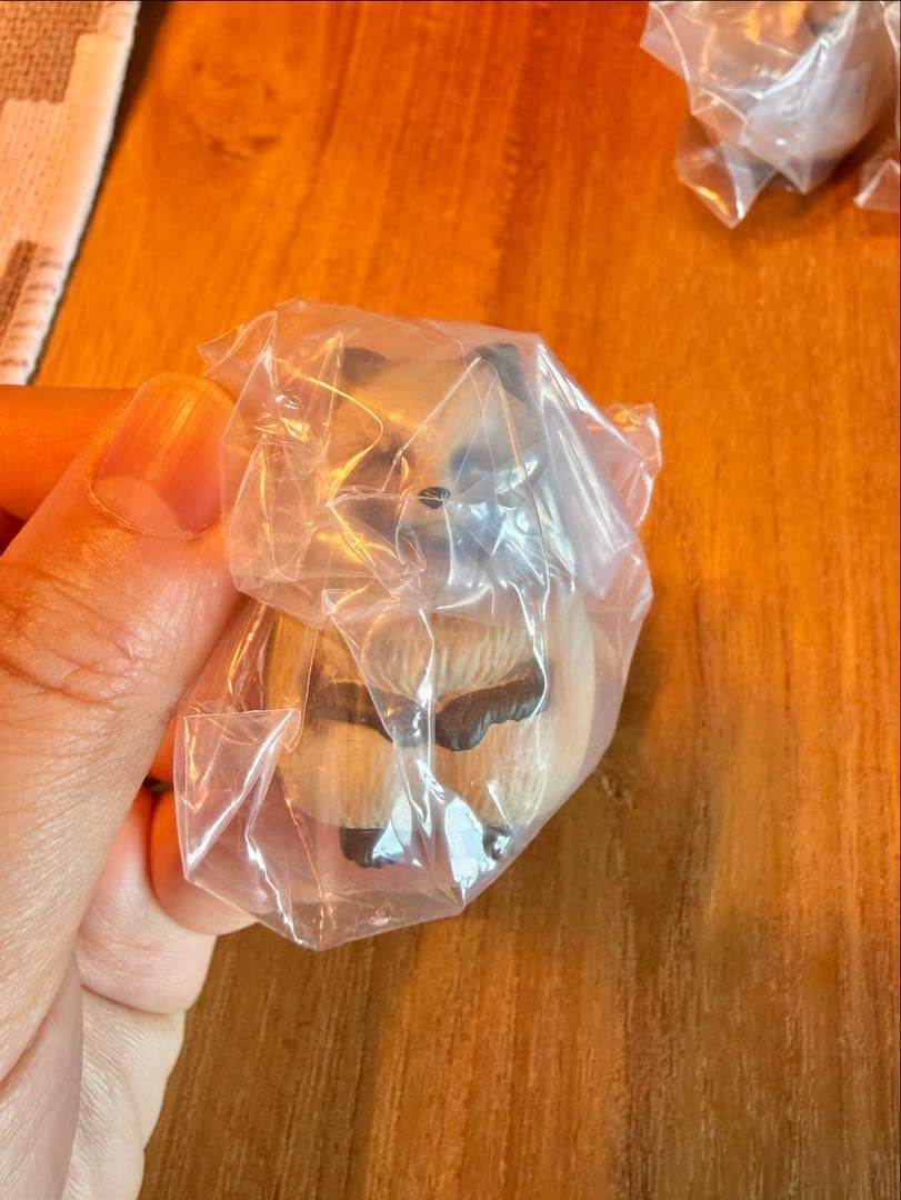 【まちぼうけ11】【新品未開封】ミズクラゲ狙い→たぬき3連敗 — image 3