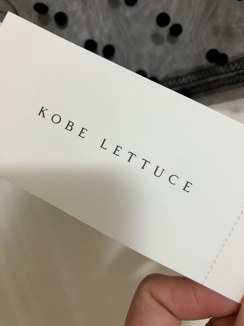 KOBE LETTUCE ドット柄 シアー 長袖トップス — image 3