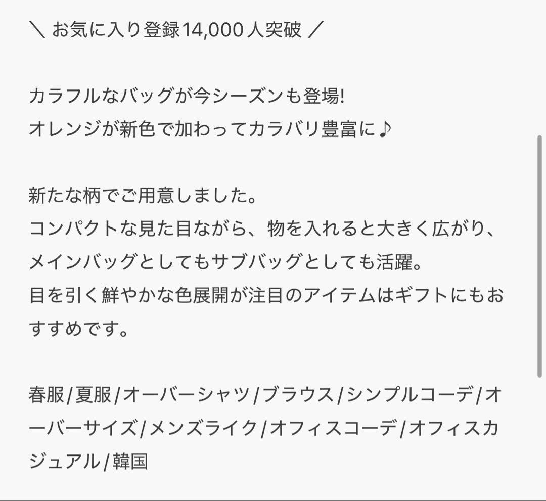 sakishimatokyo ストライプハンドバッグ — image 4