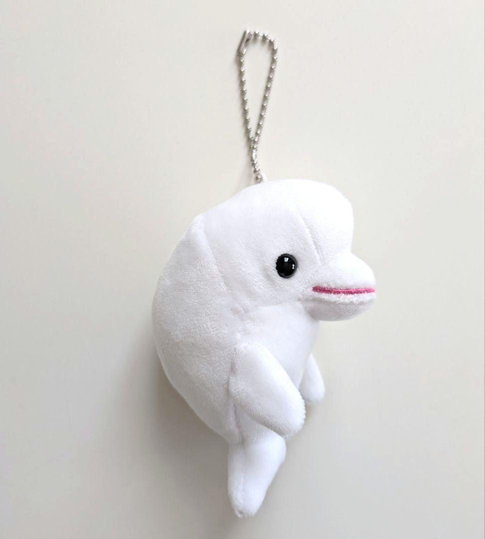 シロイルカ　ベルーガ　マスコット　水族館　ぬいぐるみ — image 3