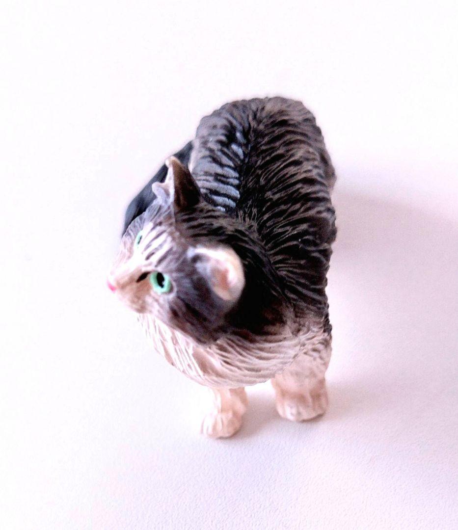 ミニチュアプラネットノルウェージャンフォレストキャット — image 3