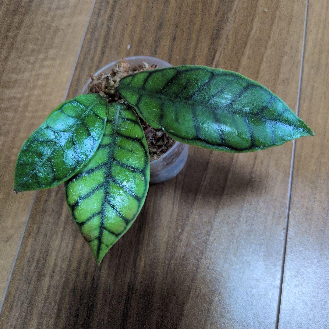 ♡様 リクエスト 3点 まとめ商品 — image 2