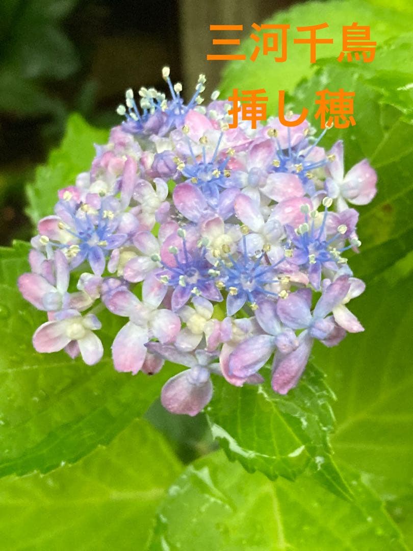 aine…*様 リクエスト 3点 まとめ商品 — image 2