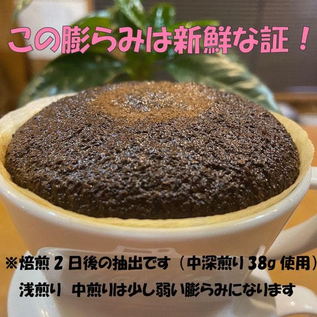 自家焙煎 コーヒー豆 ブラジル　プラナウト農園　エスプレッソレディー 400g — image 4