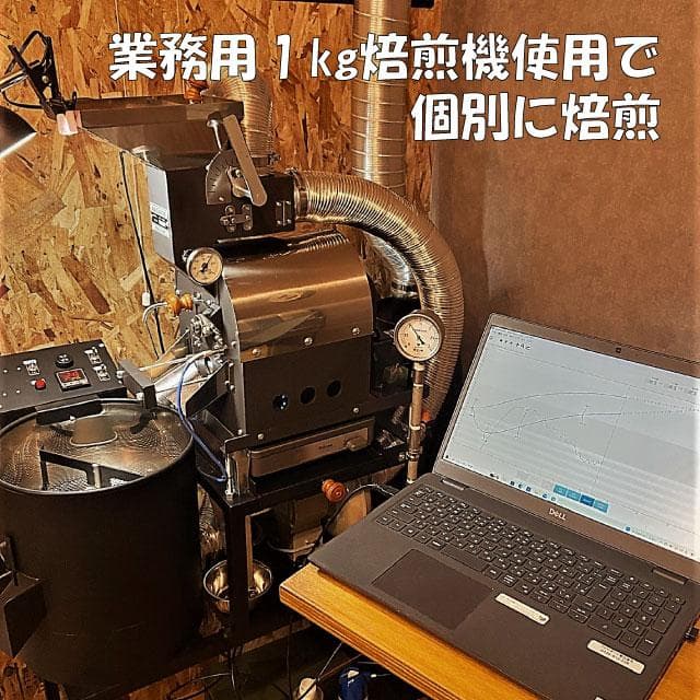 自家焙煎 コーヒー豆 ブラジル　プラナウト農園　エスプレッソレディー 400g — image 5