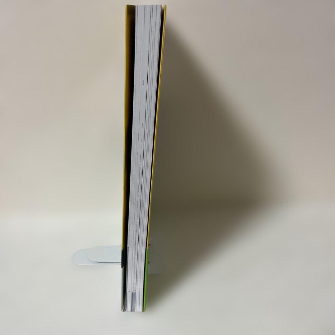 BANANA FISH OFFICIAL GUIDEBOOK REBIRTH — image 3