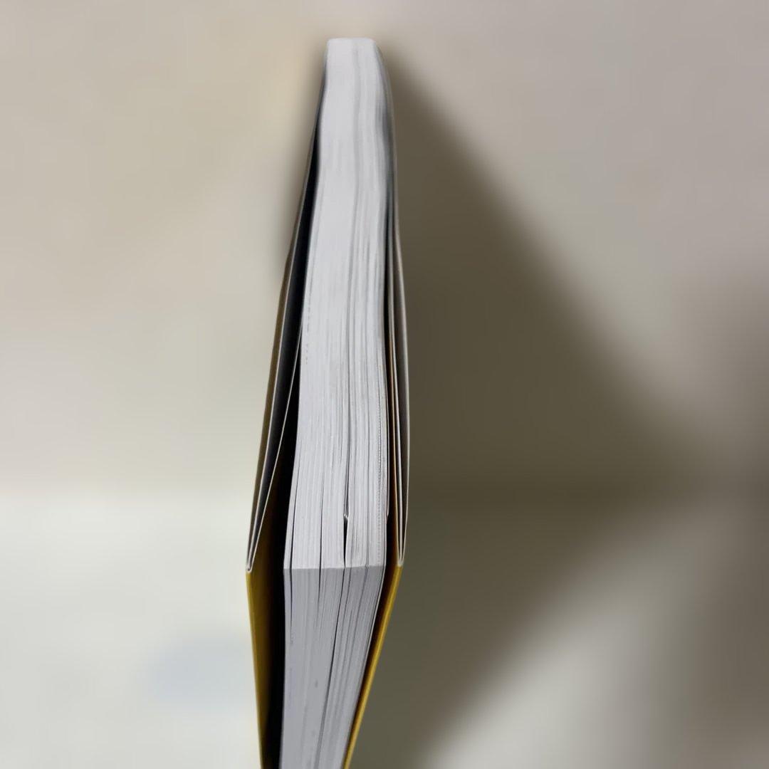 BANANA FISH OFFICIAL GUIDEBOOK REBIRTH — image 4