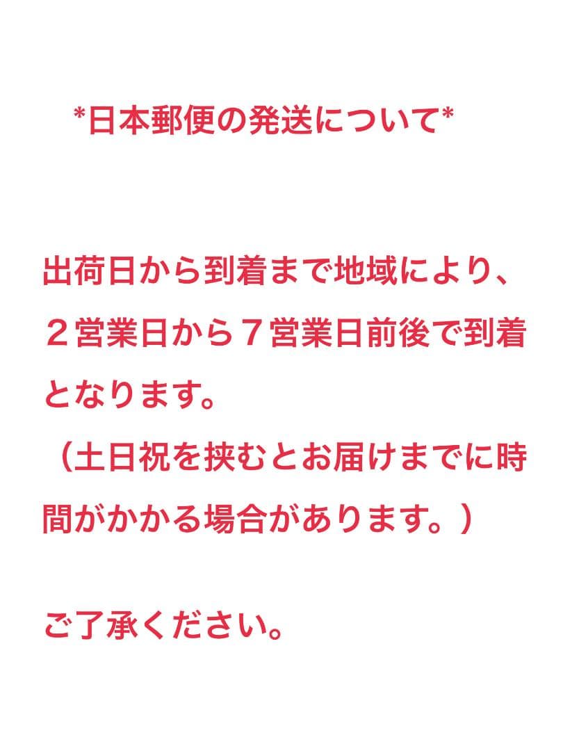 【マウンテンタイプ2枚セット】 ステッカー デリカD5 白ءٌ — image 3