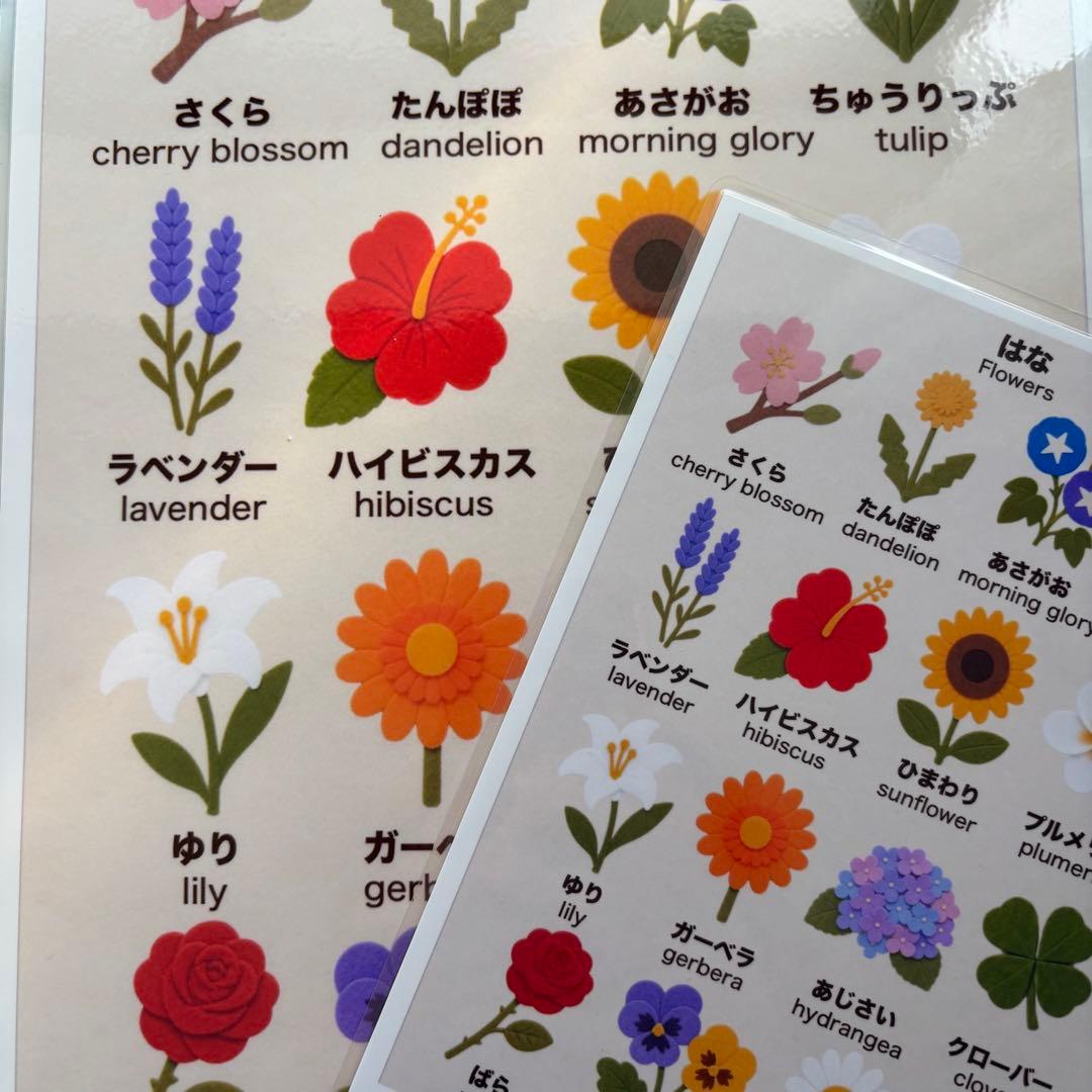 【A4+2L 2枚セット】花　おうちで自然に覚える知育ポスター　日本語＋英語 — image 2