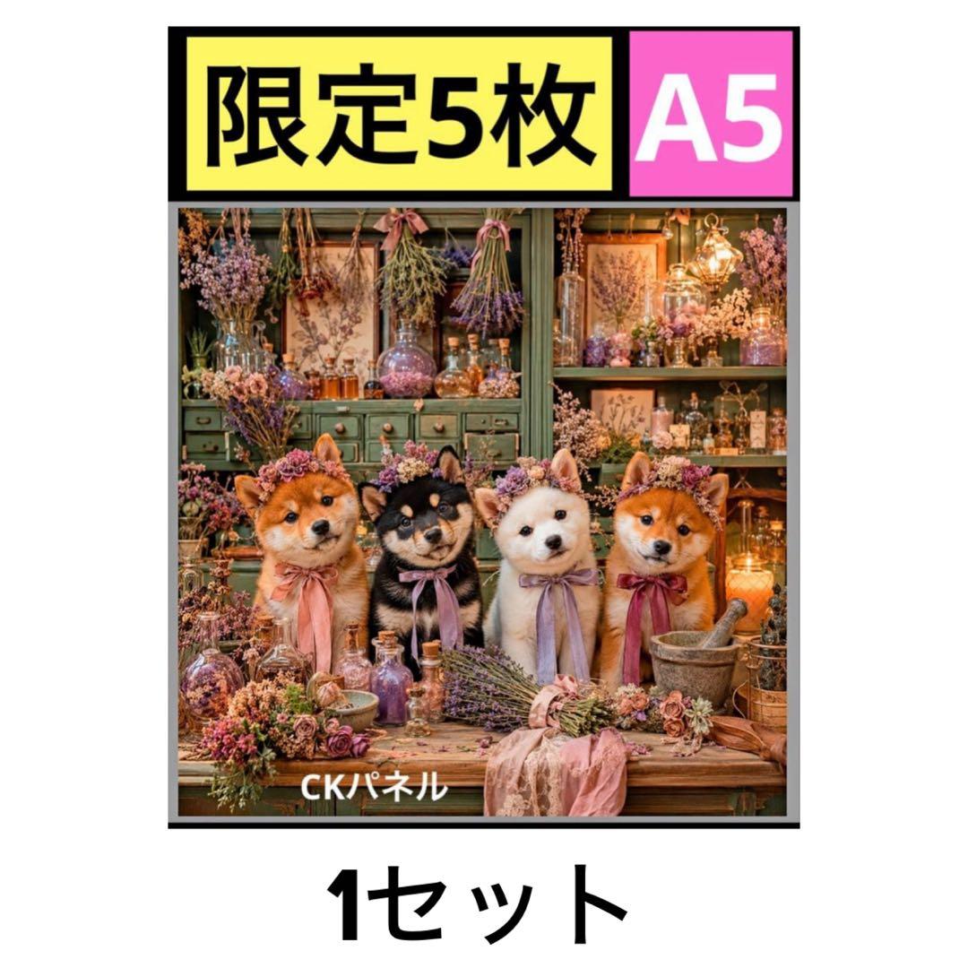 専用 — image 2