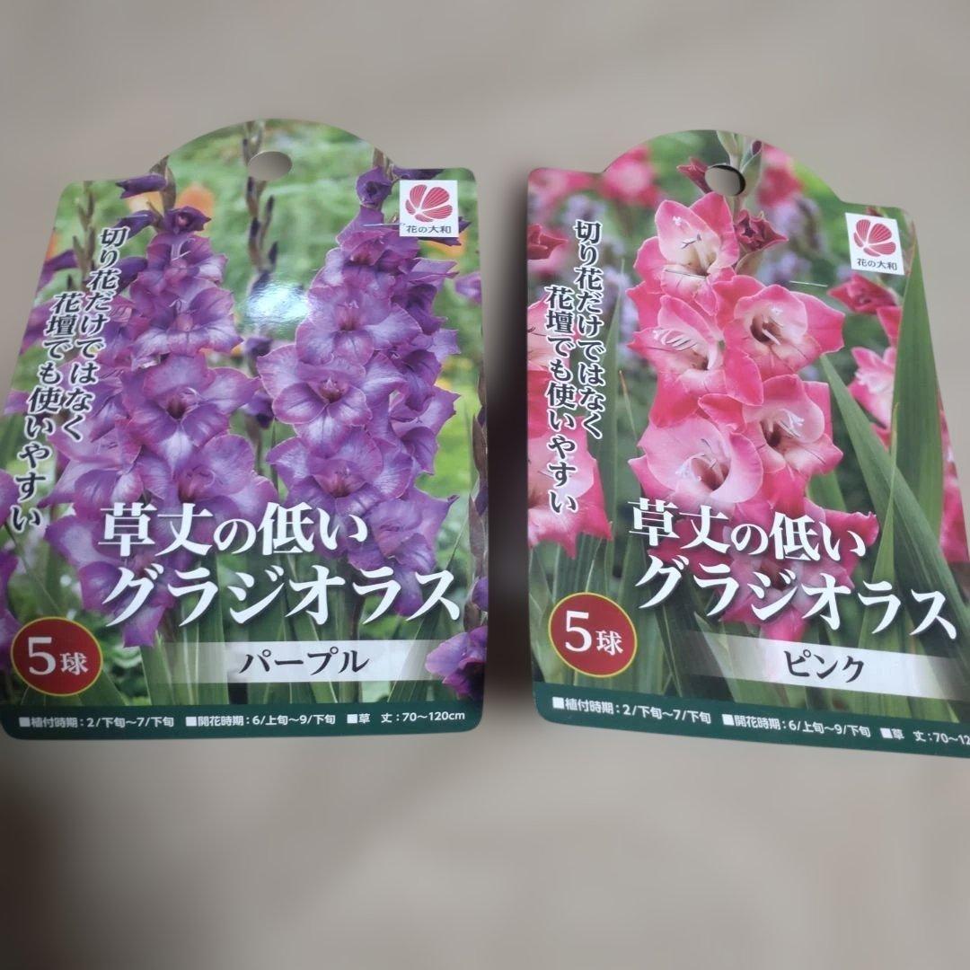 ☆☆☆様 リクエスト 2点 まとめ商品 — image 2