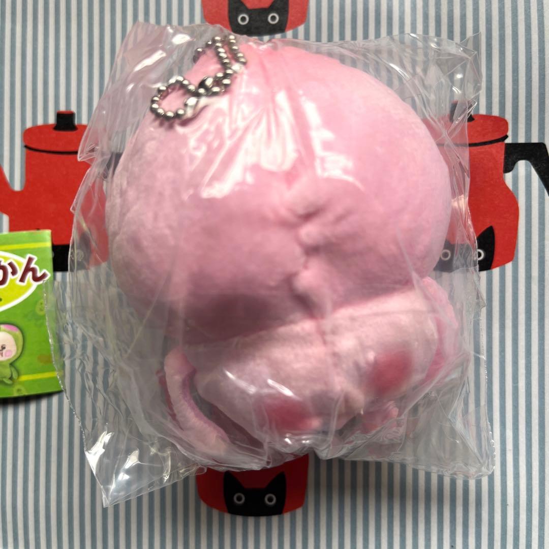 こびとづかんのぬいぐるみ　カクレモモジリ　こびとづかんガチャ — image 3