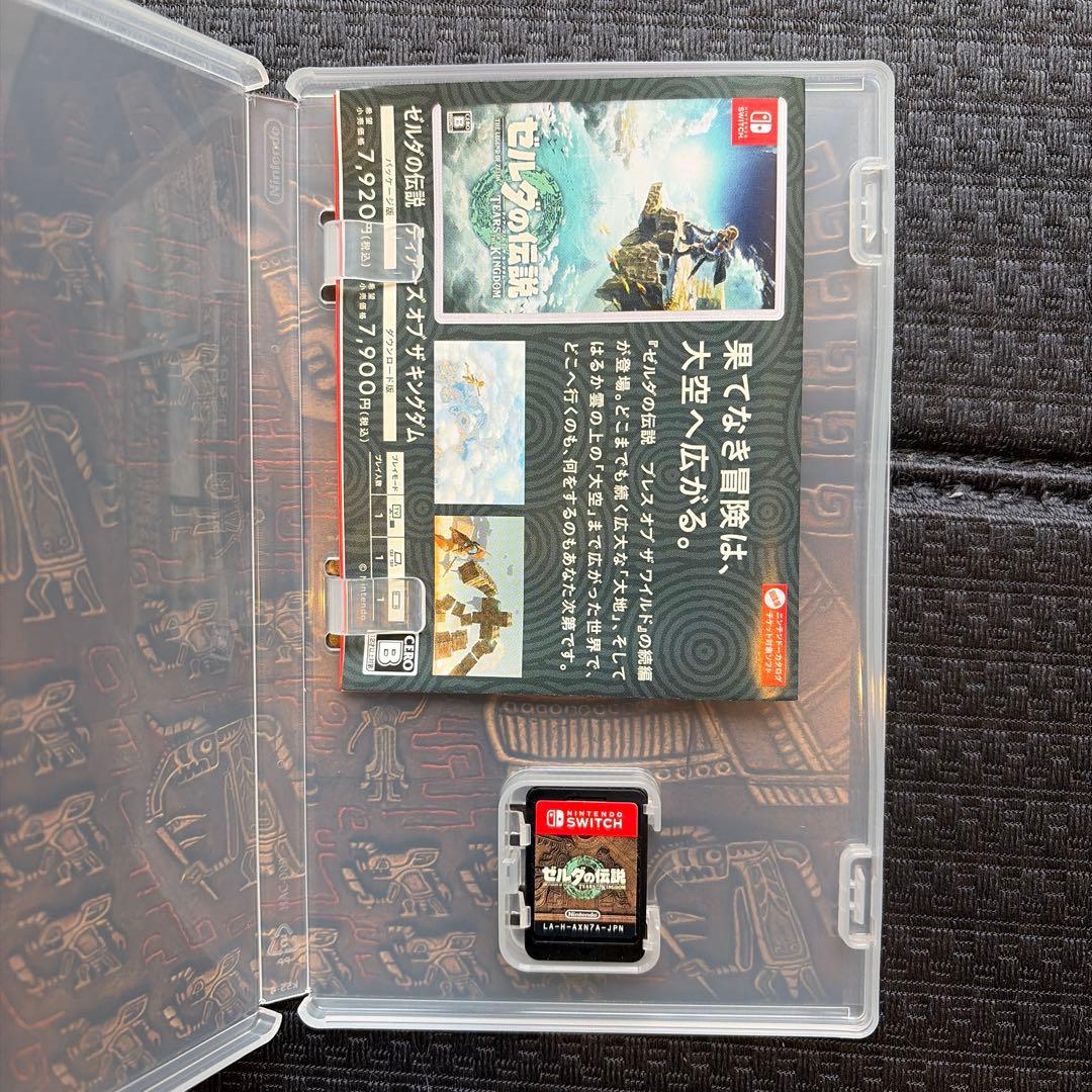 ゼルダの伝説 ティアーズ オブ ザ キングダム — image 3