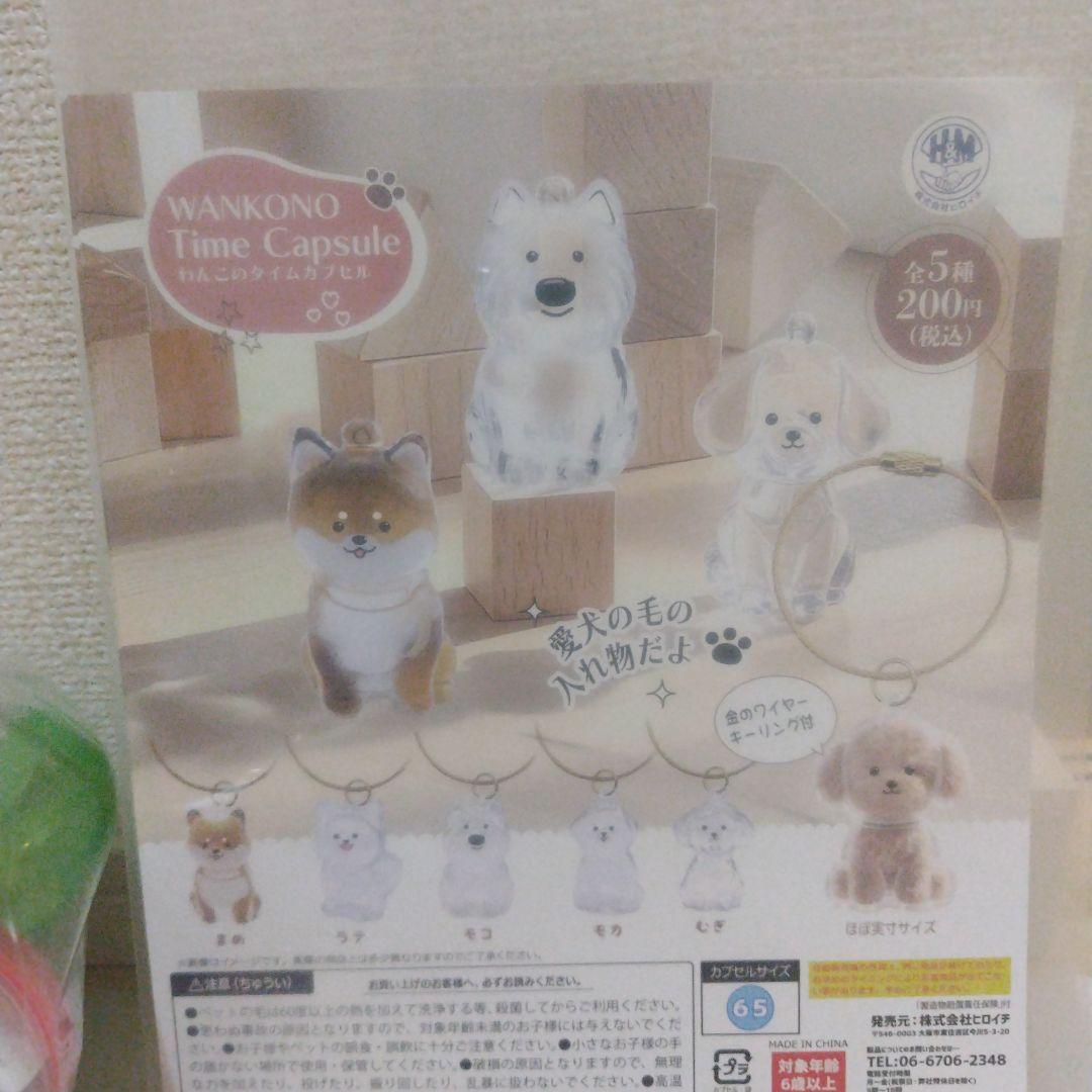 わんこのタイムカプセル 1ロット50個入　ガシャポン台紙付 — image 5