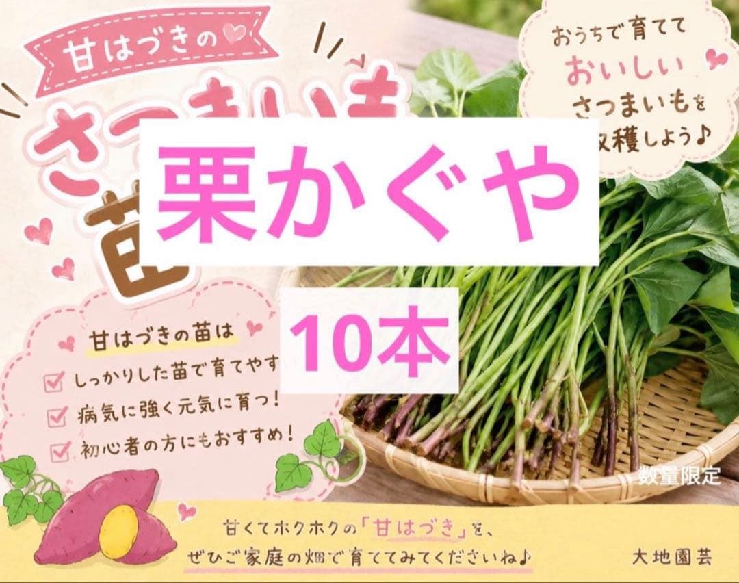 sho-farm様 コメント見て — image 2