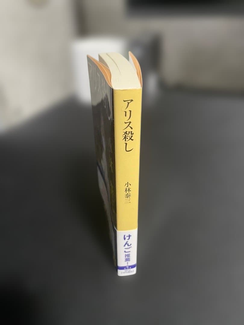 アリス殺し 小林泰三 東京創元社 文庫 — image 2