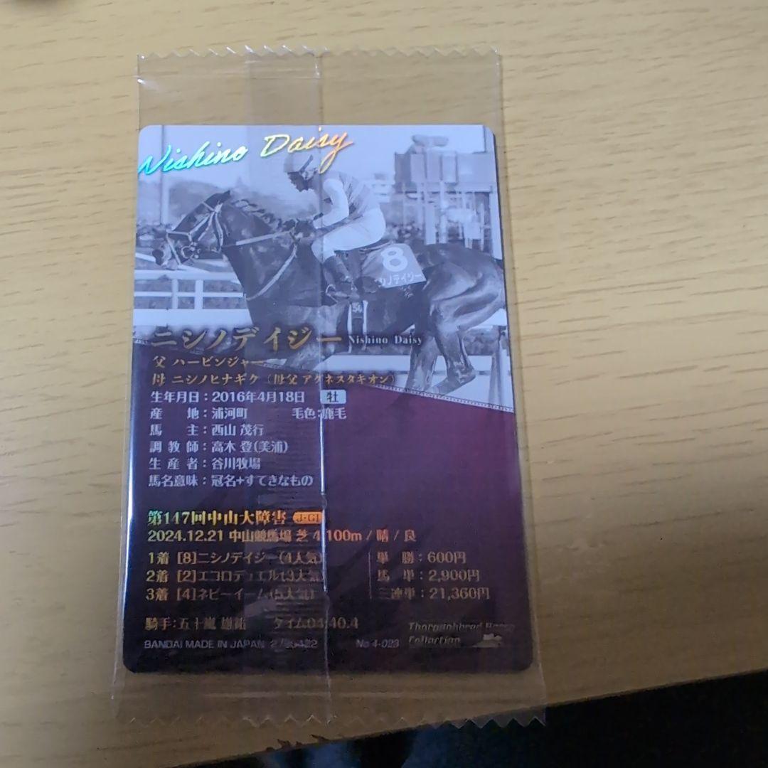 サラブレッドカードニシノデイジー — image 2