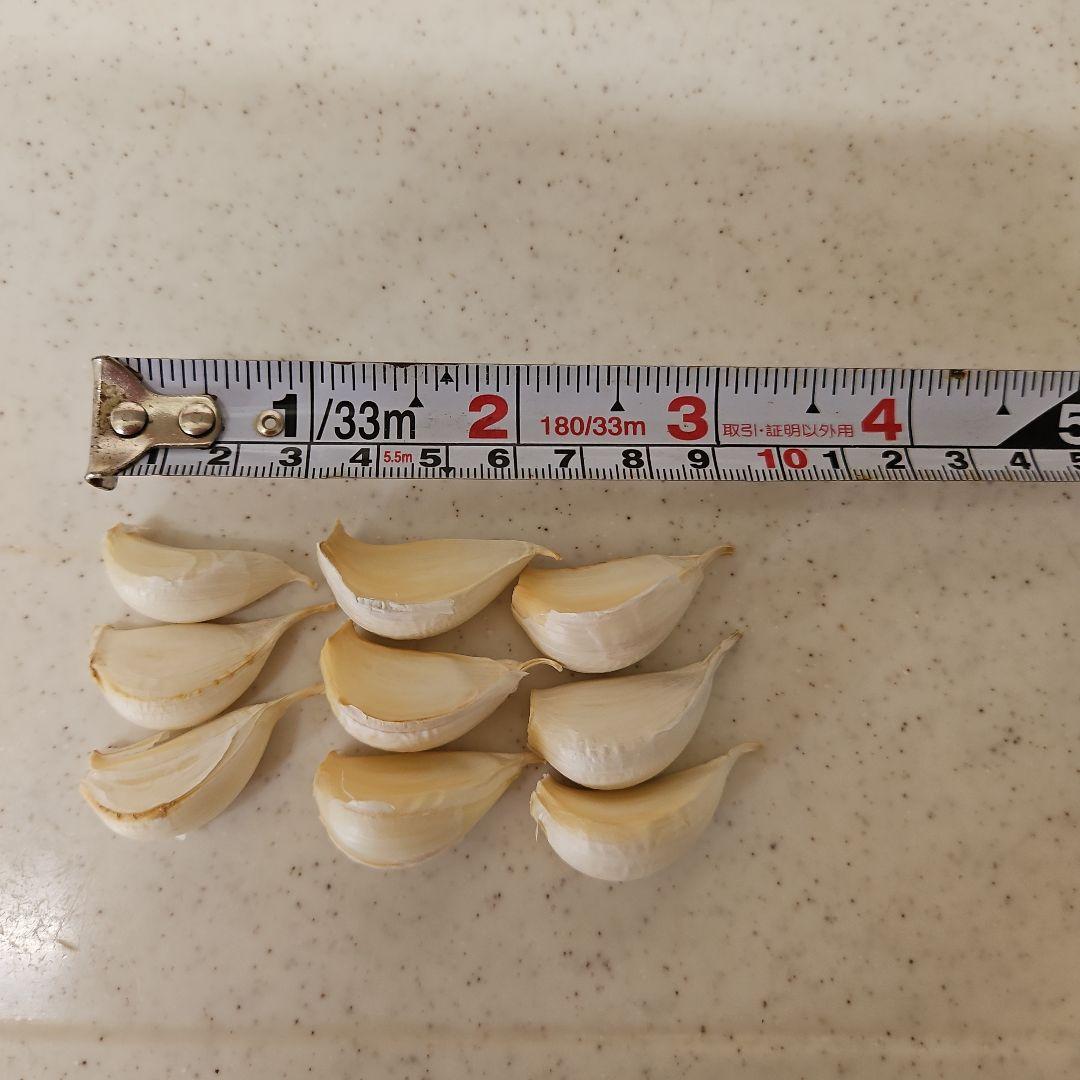 千葉県産　乾燥ニンニク　７００g — image 2