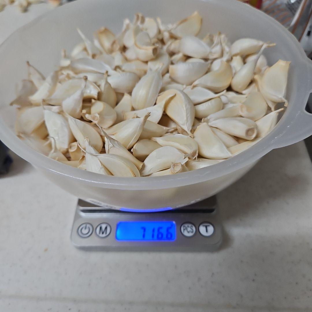 千葉県産　乾燥ニンニク　７００g — image 3