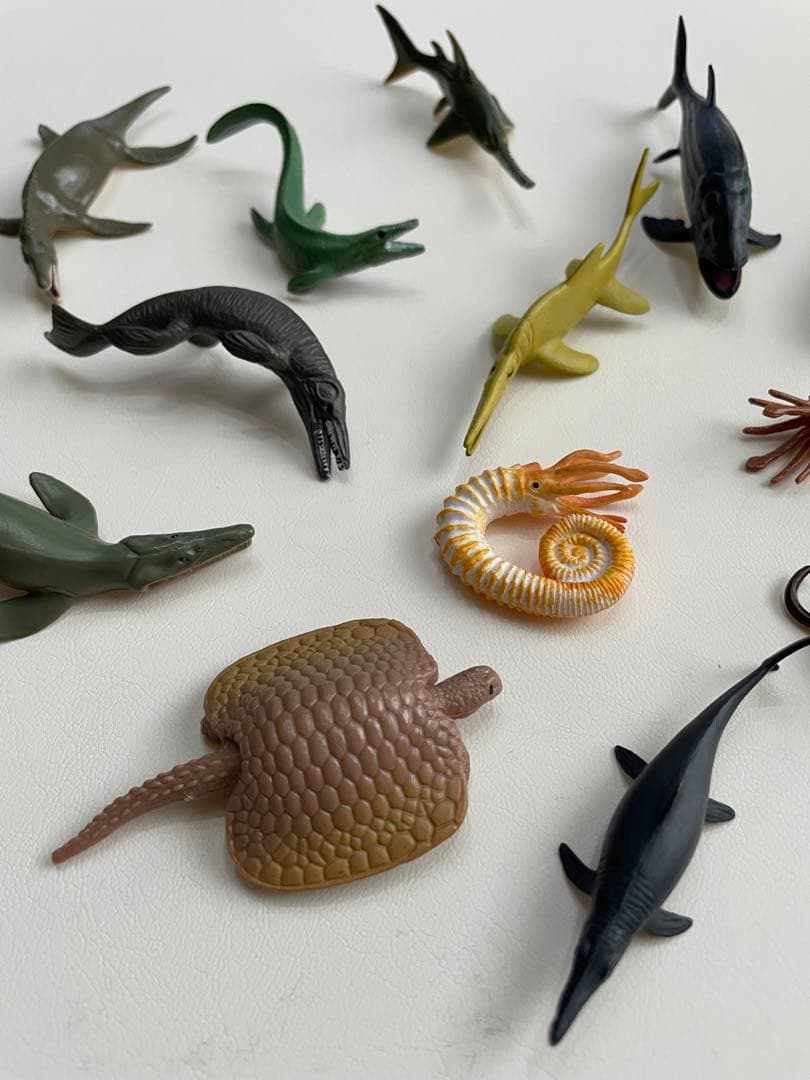 美品❤︎古代生物フィギュア約15体セット　三葉虫 アノマノカリス　アンモナイト — image 4