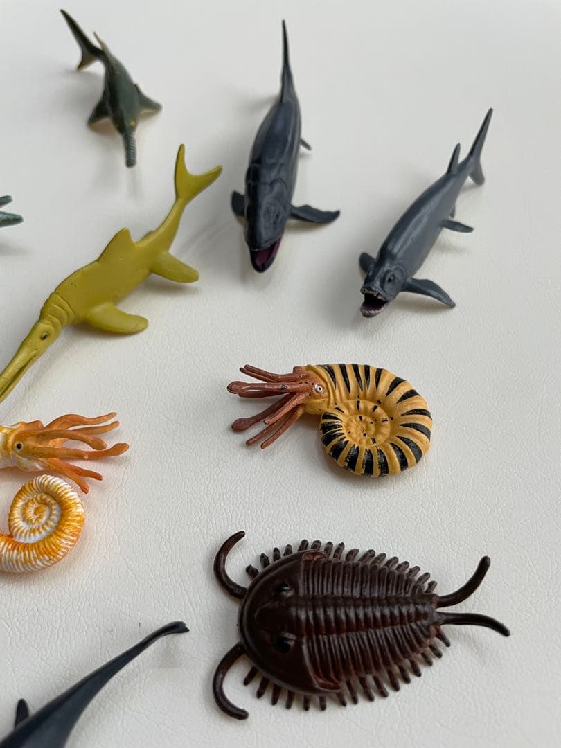美品❤︎古代生物フィギュア約15体セット　三葉虫 アノマノカリス　アンモナイト — image 5