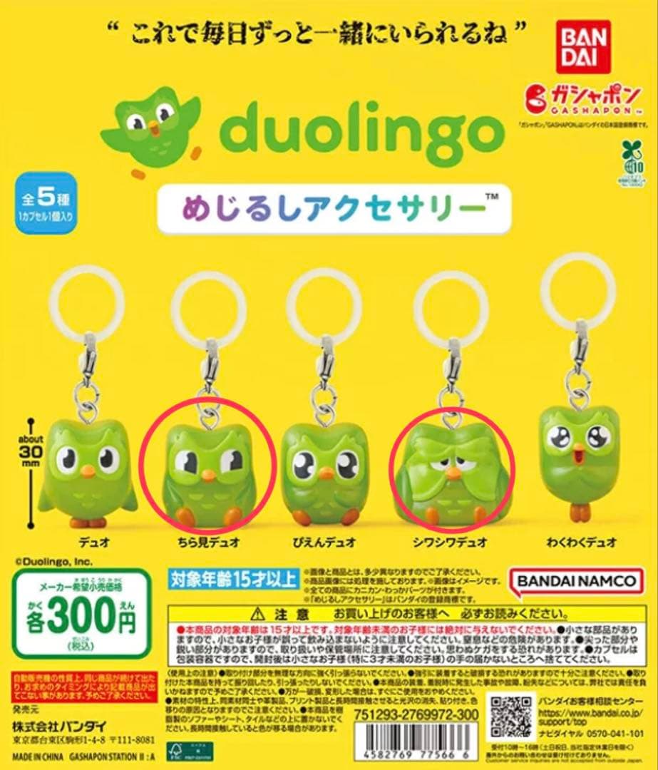Duolingo めじるしアクセサリー 2種セット — image 1