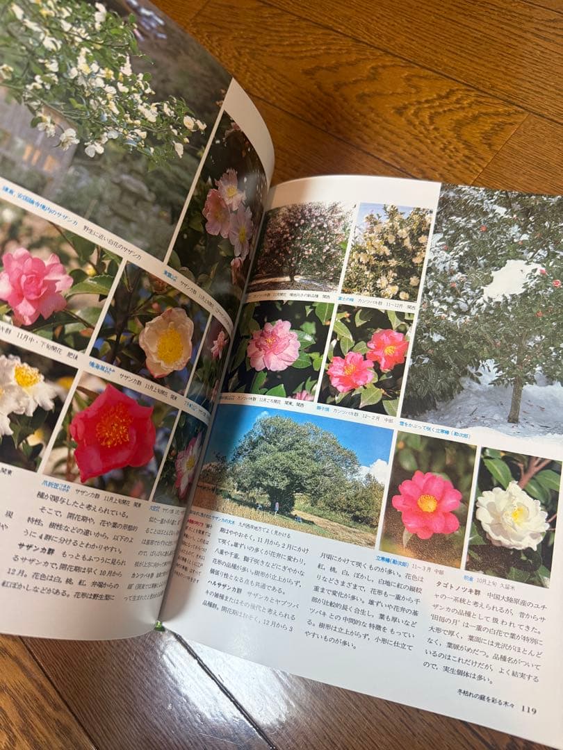 講談社 園芸大百科事典 fleur 全11巻セット — image 3
