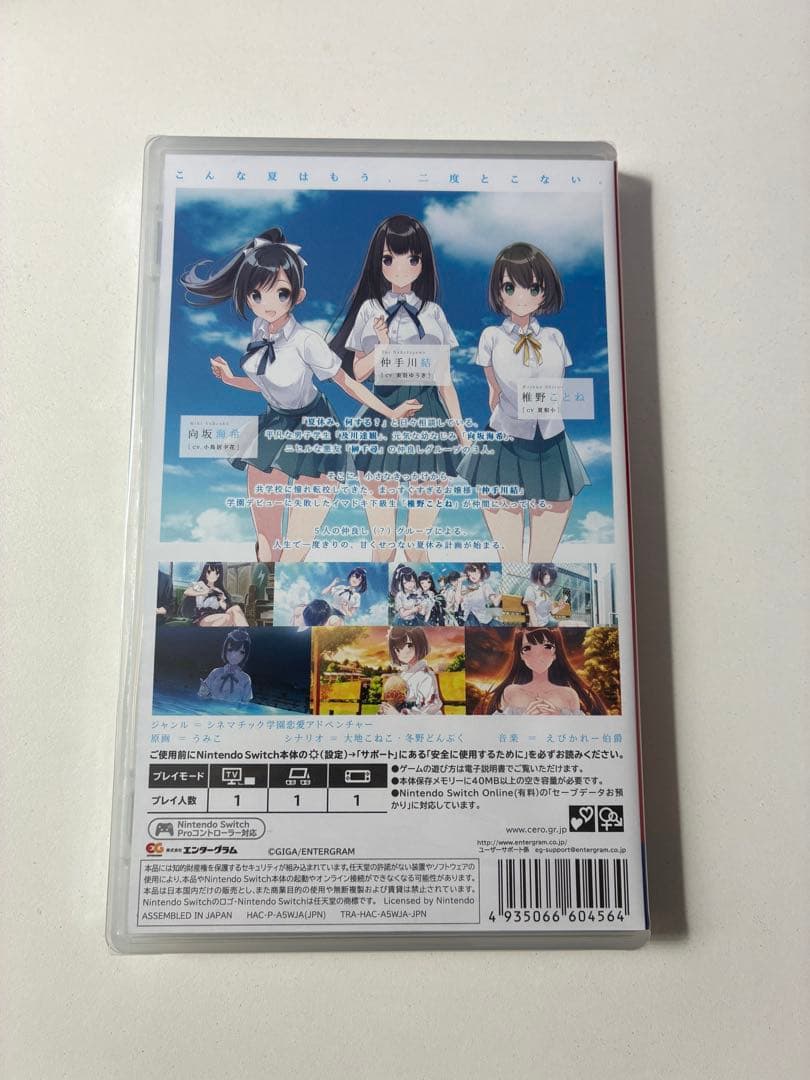 Switch アオナツライン — image 2
