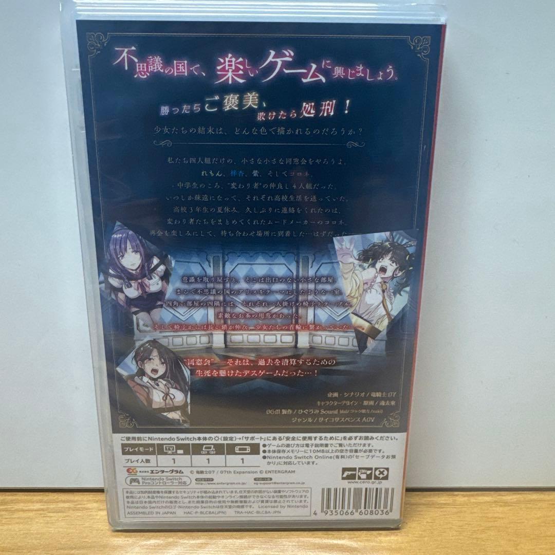 新品未開封 ニンテンドースイッチソフト 幻想牢獄のカレイドスコープ2 — image 2