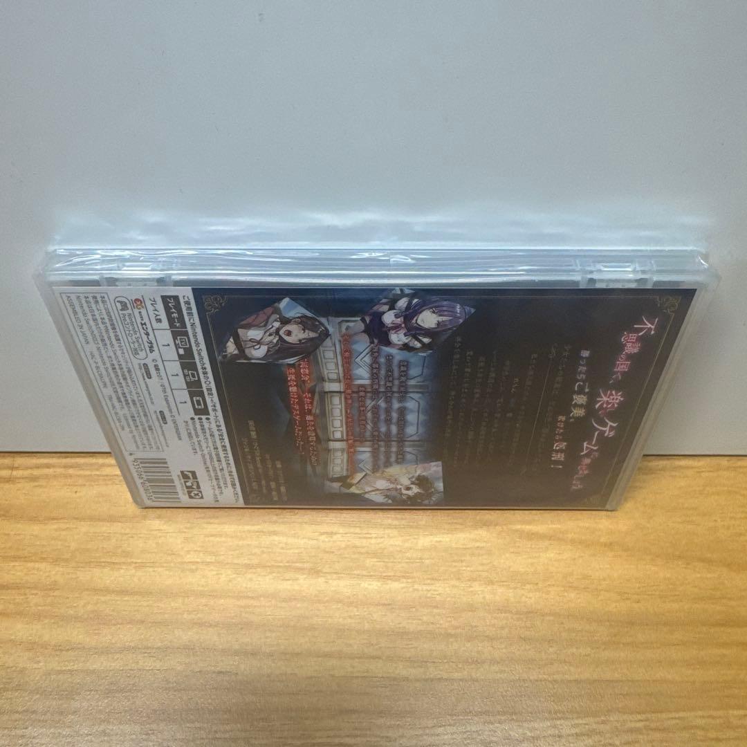 新品未開封 ニンテンドースイッチソフト 幻想牢獄のカレイドスコープ2 — image 4