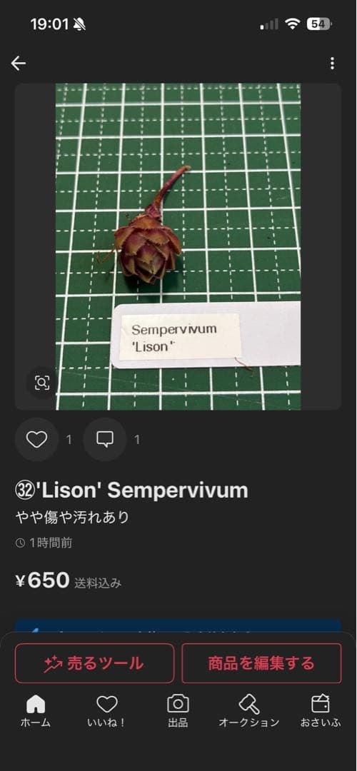 こばん☆様 リクエスト 2点 まとめ商品 — image 4