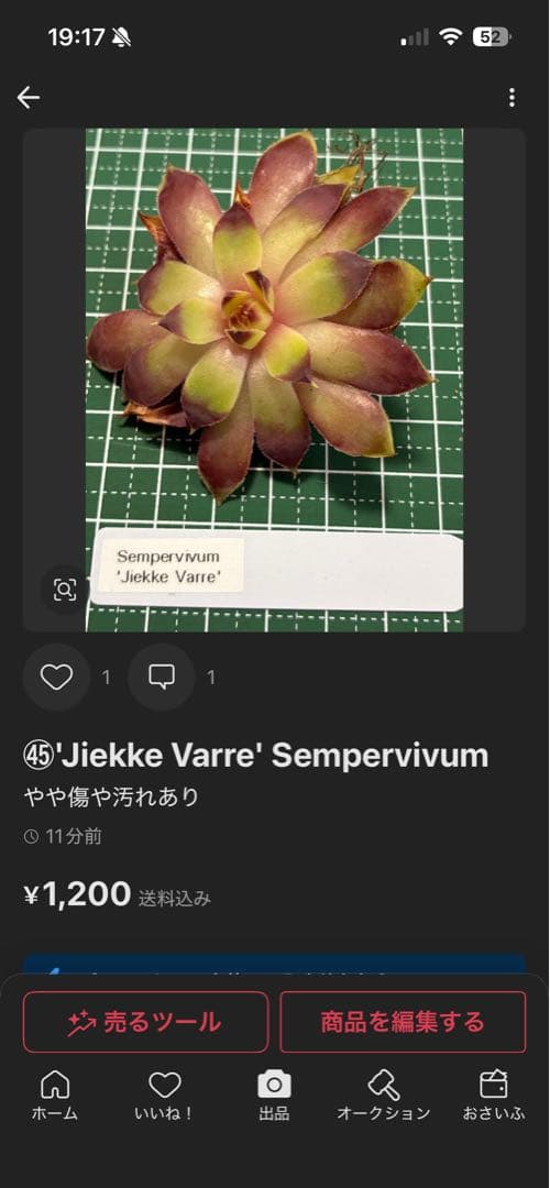 こばん☆様 リクエスト 2点 まとめ商品 — image 5