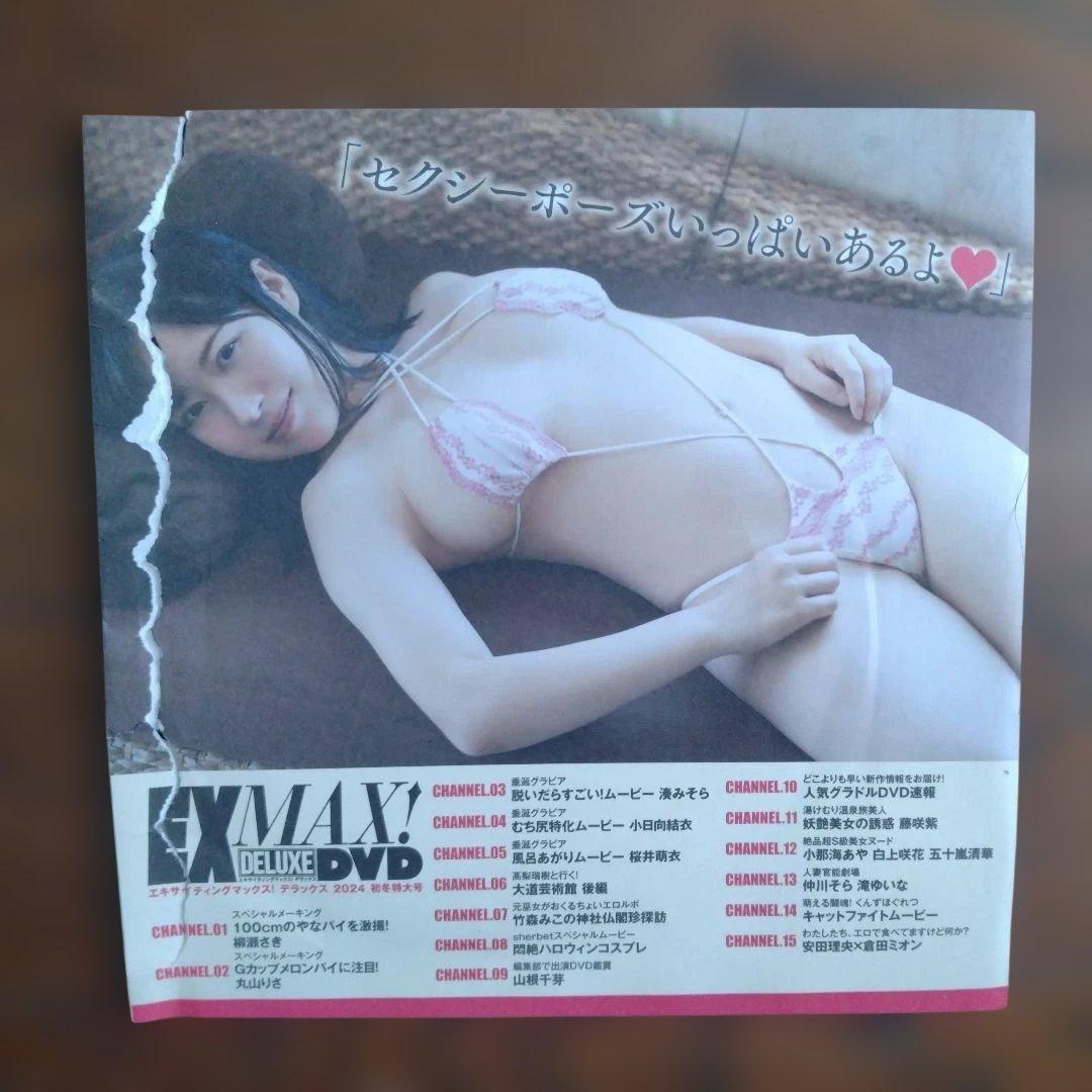 EX MAX! デラックスDVD 2024 特別付録 — image 2